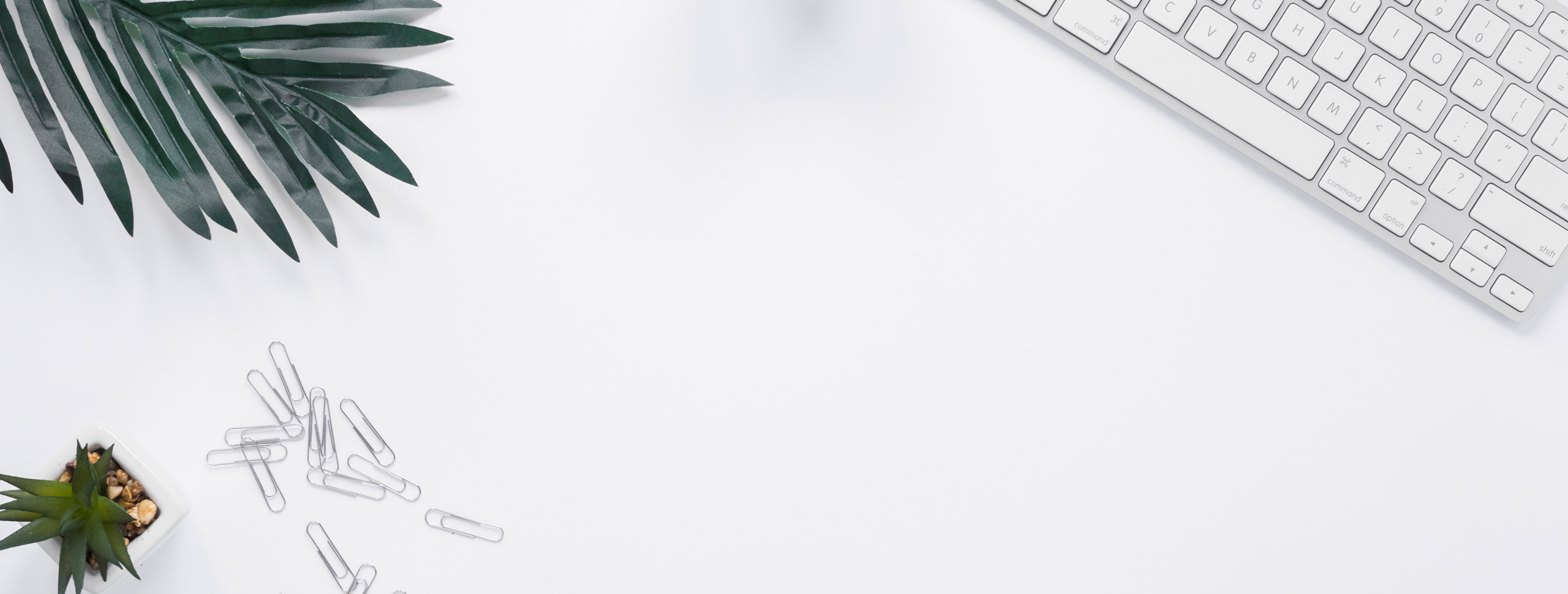 Webdesign Allgäu Immenstadt