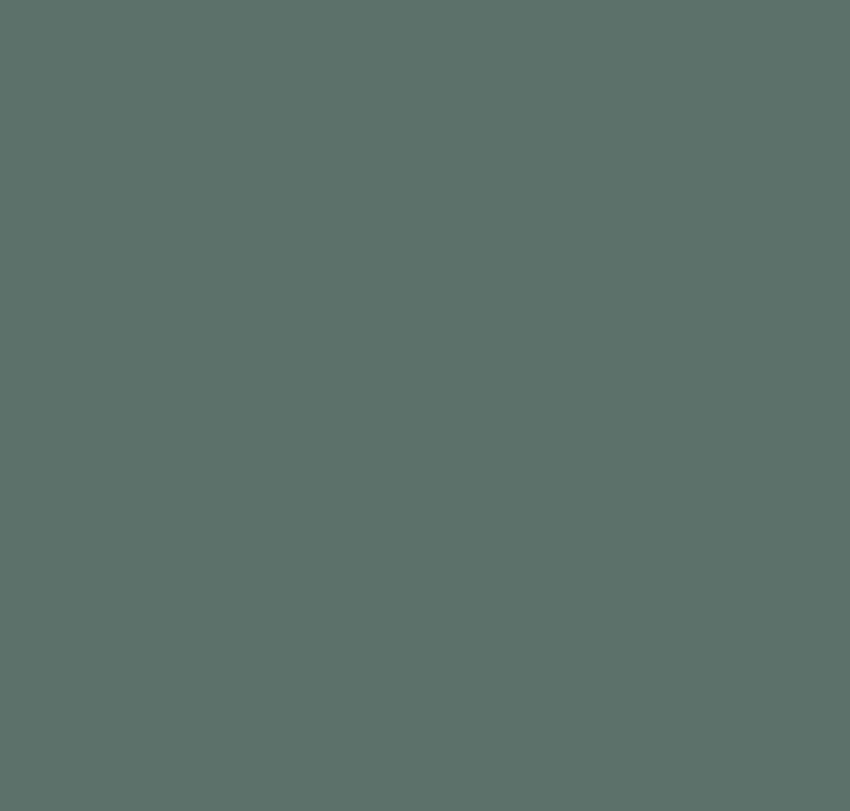 Webdesign mit Rundum-SorglosPaket